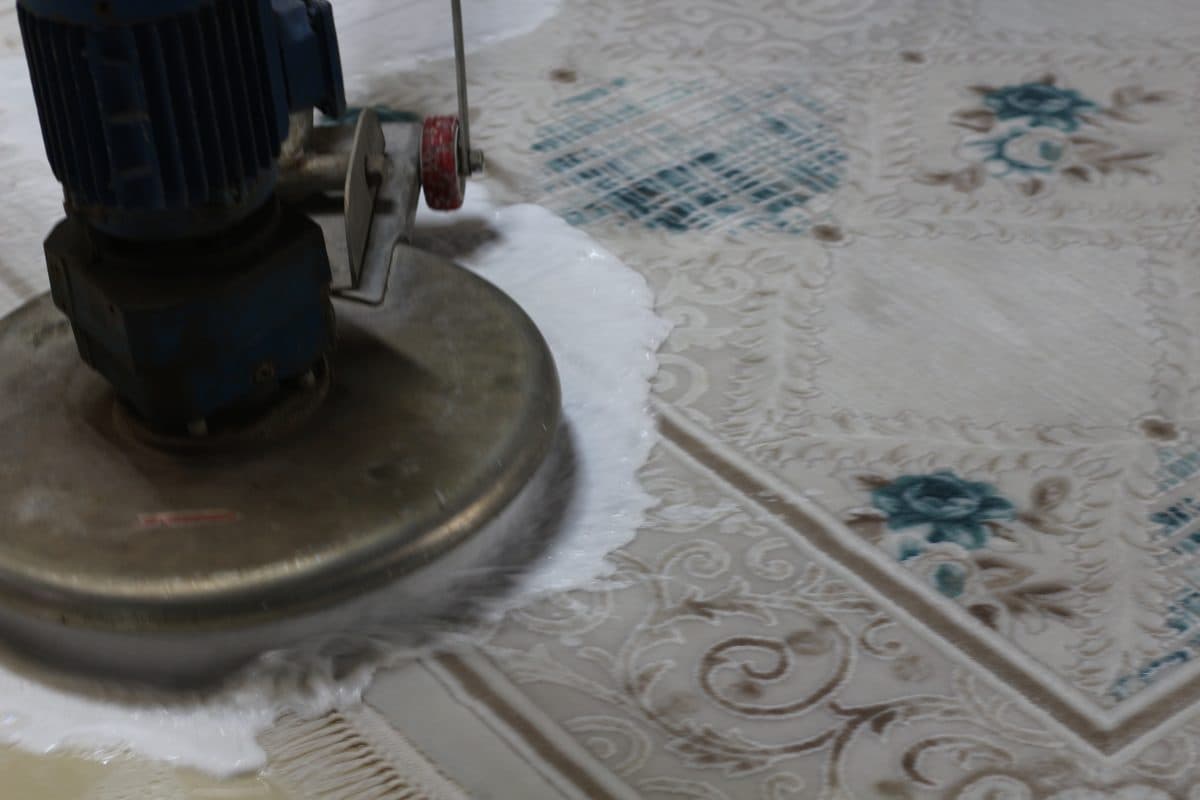 Çiçek desenli krem renkli halı döner fırçayla yıkanıyor
